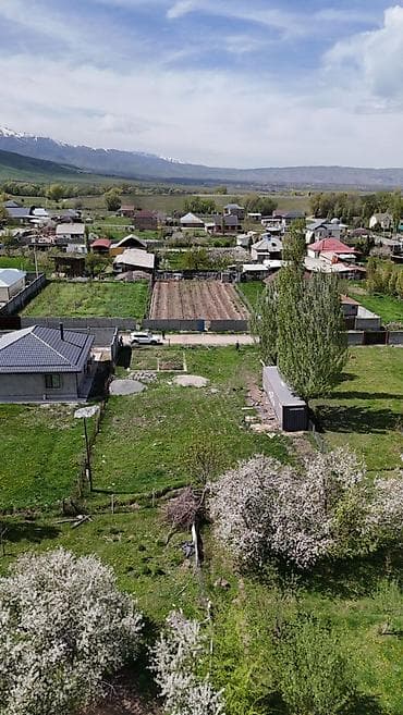 8 соток, Курулуш, Кызыл китеп — 3