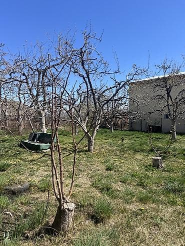 сарай сатылат с кызыл туу московкий р н: 🏡 Продаётся уютная дача на Иссык-Куле — с. Бостери, дачный посёлок — 2