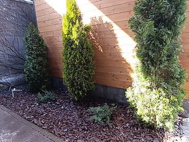 all group: GreenScape — ландшафтный дизайн и благоустройство Профессиональное — 4