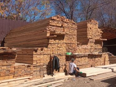 ХДФ: Тактайлар, Кырдуу, Тепкичтерге, Кайың, Нымдуулукка туруктуу — 4