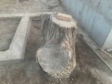 купить шкаф для папок в офис: Орешина 
Отдадим за приемлемую цену — 5