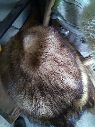 шапка с ушками которые поднимаются купить: Продаю шапки формовка мех фредка,(этот мех схожий с норкой из разводят — 3