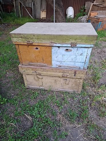 Деревянные ульи-лежаки (пчелиные домики) количество 4 штуки -