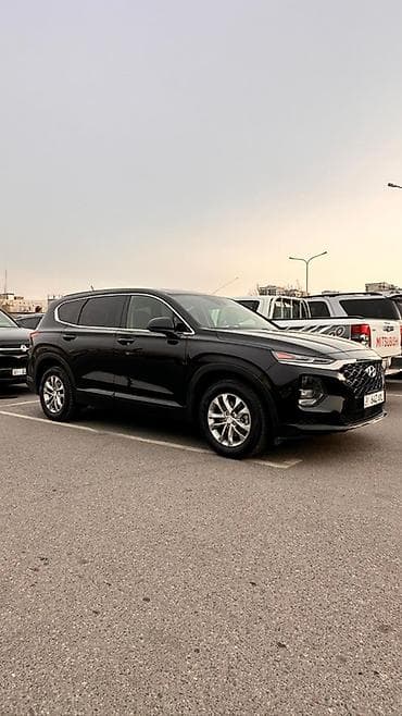 baw fenix: Hyundai Santa Fe: 2018 г., 2.4 л, Автомат, Бензин, Кроссовер — 8