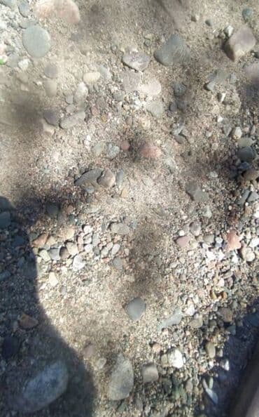 бишкек оптом картошка: ЗИЛ ЗИЛ ЗИЛ ЗИЛ Грузоперевозки Шагыл Шагыл Шагыл Шагыл Гравий Гравий — 3