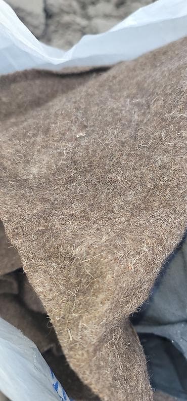 Атайын кийим: Шинель солдатская — 3