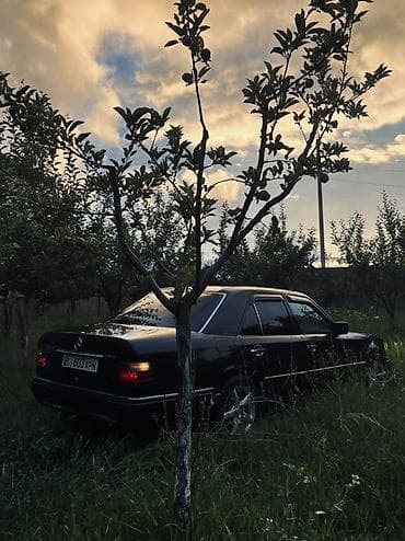 авто портер: Mercedes-Benz W124: 1994 г., 3.2 л, Механика, Бензин, Седан — 3