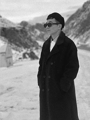 работа в такси без авто: Гладильщик — 1