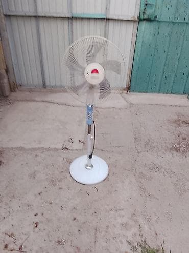 отдам даром комнатные цветы: Продам. 1500.сом.рабочий — 1