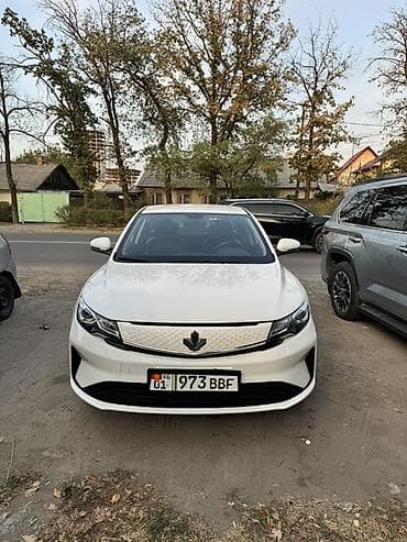 эмблема: Geely : 2022 г., Электромобиль, Седан — 1