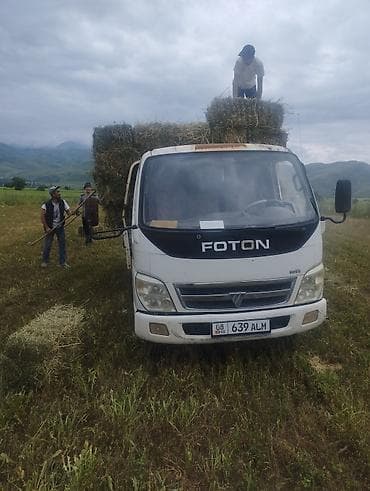прием кукуруза: Прессованное сено в тюках - Натуральное луговое сено, заготовка с — 2