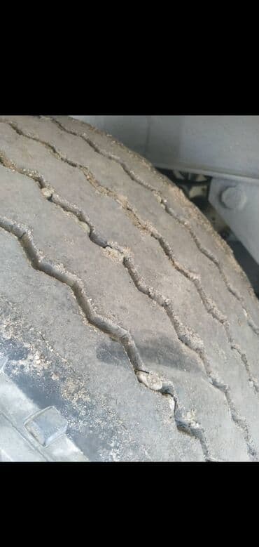 купить фуру с прицепом бу: Тягач, DAF, 2004 г. — 6