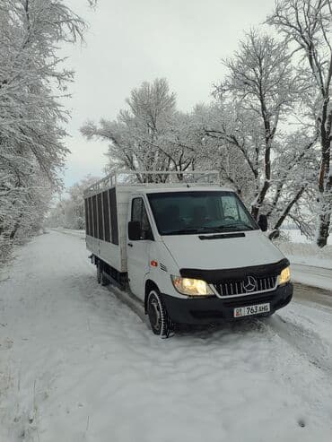огнетушитель для авто: Легкий грузовик, Mercedes-Benz, Стандарт, 3 т — 2