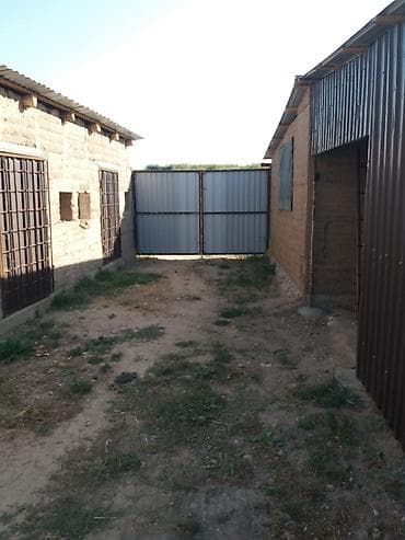 карабалта вознесеновка дом: 65 м², 3 комнаты, Бронированные двери, Амбарная, Подвал, погреб — 2