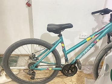 format diski: Горный велосипед Forward IRIS Посадка 155+ ниже ноги не дотянутся до — 1