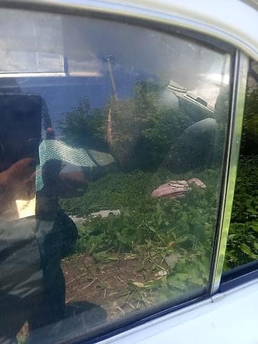 ГАЗ 24 Volga: 1997 г., Седан at lalafo.kg ГАЗ 24 Volga: 1997 г., Седан