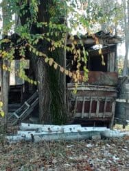 семена грецкого ореха: Дрова Карагач, Самовывоз — 5