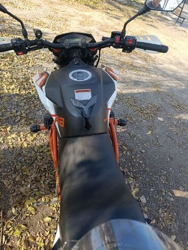 цены на мотоциклы: Эндуро Jelmaia, 300 куб. см, Бензин, Взрослый, Новый — 6