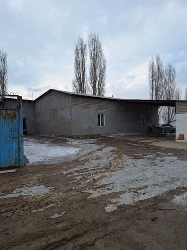 изу земельный дом жил массив кок жара: Продаю Ферма КРС, 1000 соток, Действующий, С оборудованием, Электричество — 8