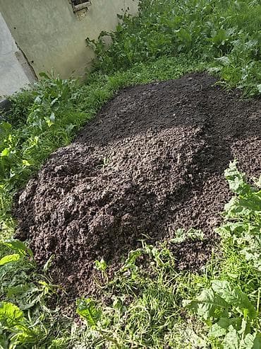 пони конь: Тооктун кыгы — 2