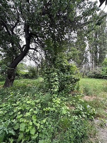 group: 12 соток, Красная книга, Тех паспорт, Договор купли-продажи — 3