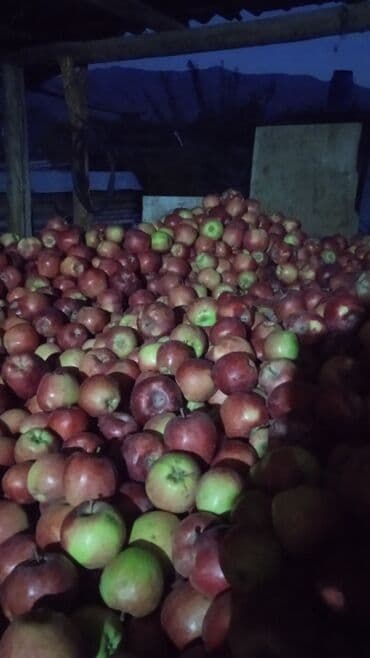 этажерка фруктовница: Алмалар Дүңүнөн — 1