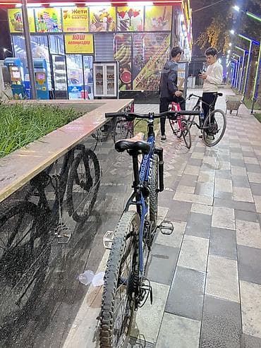 богажник рага: Горный велосипед Adidas (MTB), с амортизационной вилкой и прочной — 4