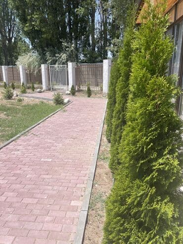 попутка иссык куль: Коттедж, У Бахи Кара-Ой (Долинка), Парковка, стоянка, Охраняемая территория, Бассейн — 9