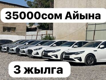 Ковролин: Kia K5: 2019 г., Автомат, Газ, Седан — 1