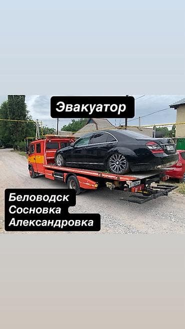 Көтөргүсү менен lalafo.kg да Көтөргүсү менен