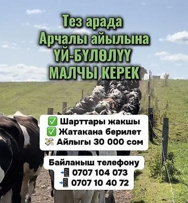 Требуется Пастух, Оплата: Ежемесячно