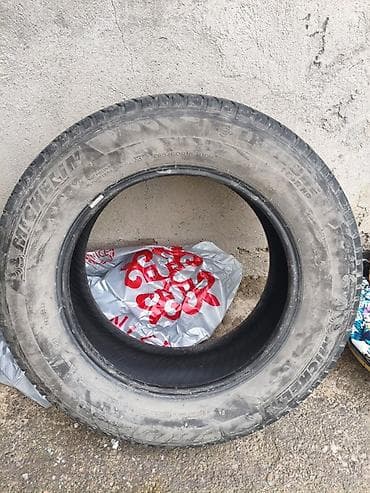 w210 55: Шины 265 / 60 / R 18, Всесезонная, 1 шт, Внедорожные (АТ/МТ), Michelin — 2