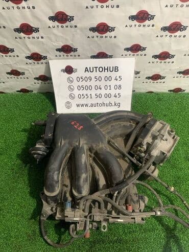 коллекторы: Коллектор Lexus — 1