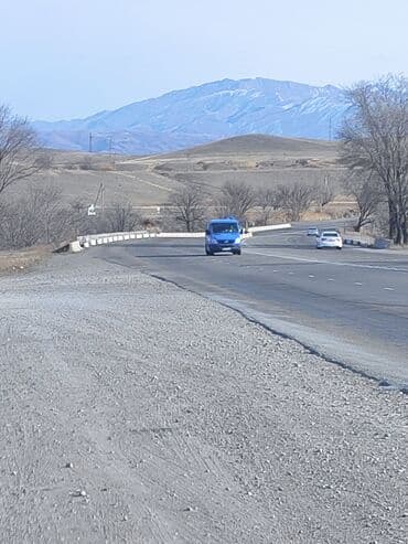 дом чон сары ой: 2 соток, Красная книга — 7