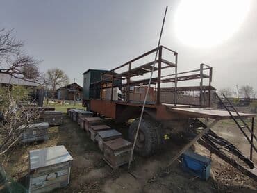 камазовский: Прицеп, 8 т, Б/у — 6