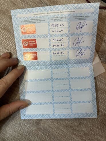 немецкая овчарка цена щенка: Сиба-ину, 2 месяца, Самец, С прививкой — 12