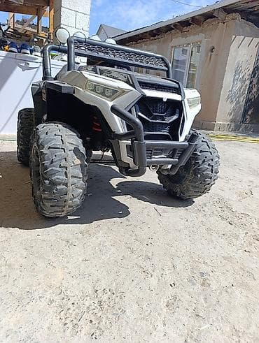 мужской одежды: Детский электромобиль-багги RZR-style - Тип: двухместный — 2