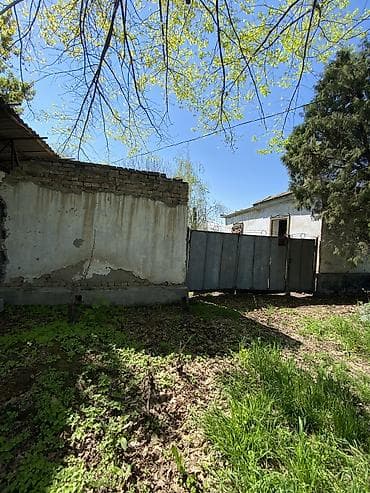 плодовый сад: 12 соток — 3