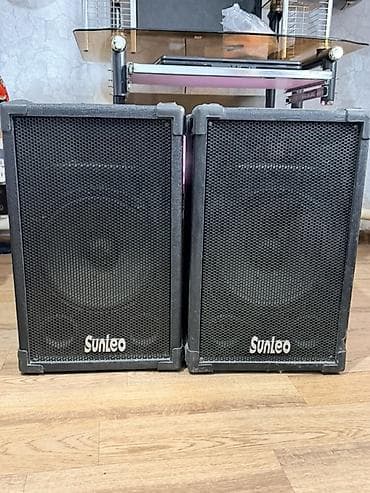 студийный конденсаторный микрофон behringer b 1: Пара акустических систем Sunleo — 1