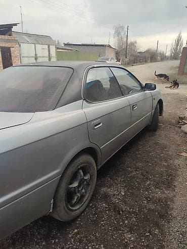 опель вектора б: Седан среднего класса, правый руль. Кузов серебристого цвета с темной — 1