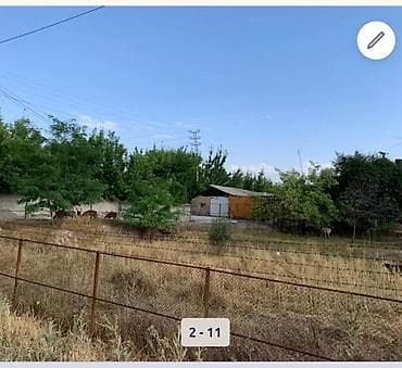 Кыймылсыз мүлк: 4 соток, Кызыл китеп — 2