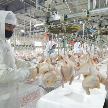 Требуется Упаковщик, Оплата: Дважды в месяц, Без опыта