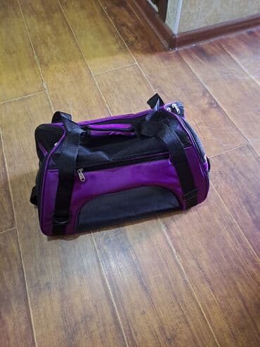 домик для котенка: Зоотовары лоток, кормушка, игрушка, лопатка комплект цена 1000 сом — 13