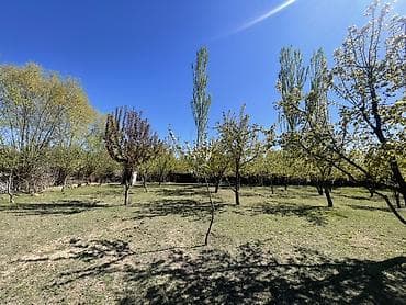пакет одежды: Плодовый сад/участок с плодовыми деревьями. - Ухоженные ряды — 2