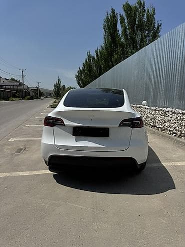 Tesla: Tesla Model Y: 2023 г., Автомат, Электромобиль, Кроссовер — 9