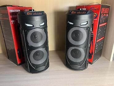 Портативная колонка Sing-e ZQS4239W - Два динамика 4" с решёткой и