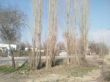 дом вещи: Отдам даром, заберёте все, тазалап кеткиле — 5