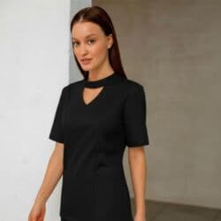 химчистка оборудование: Гладильщик — 1