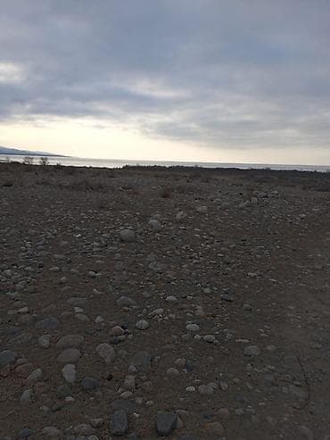 продаю дом бишкек ак орго: 120 соток, Бизнес үчүн, Кызыл китеп — 3