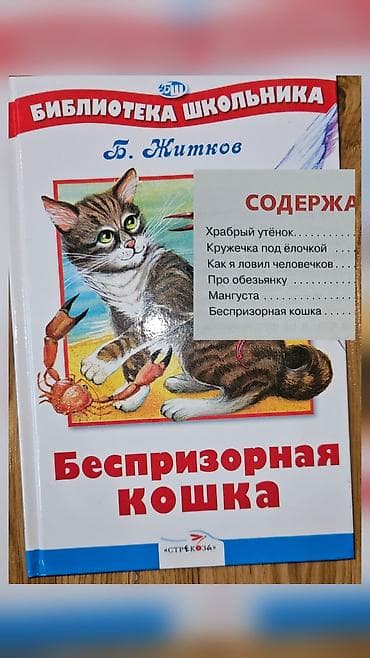 следопыт: ФОТО 1 УЧЕБНИКИ БУ: Русский язык (Т. Г. Рамзаева) - Учебник для 1 — 9